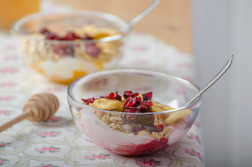 Homemade yogurt with dried fruit