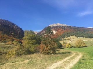 Feldweg in Lus-la-Croix-Haute, Drôme, Frankreich