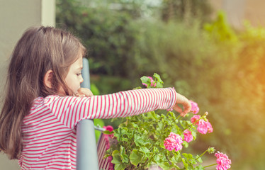 cute little girl touching flowers in pot