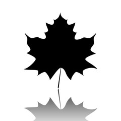 Maple leaf icon