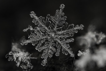 Extreme magnification - Real snowflake
