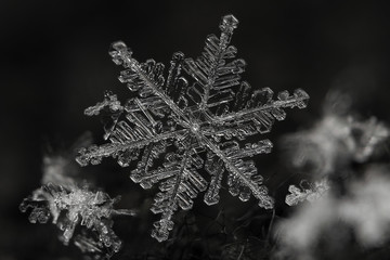 Naklejka premium Extreme magnification - Real snowflake