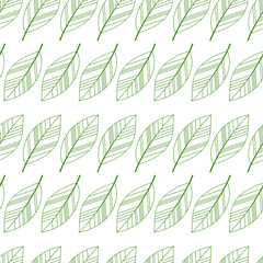 leaves seamless isolated