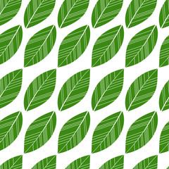 seamless leaves isolated 