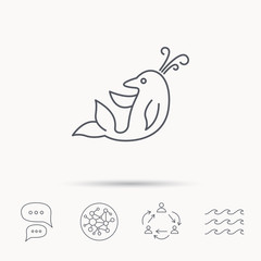 Dolphin icon. Cetacean mammal sign.