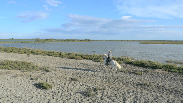 Aerial cowboy Camargue France animal grey horse freedom rider 