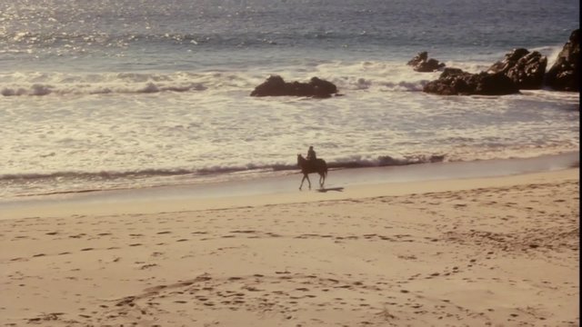 Wide shot of person horseback riding on beach