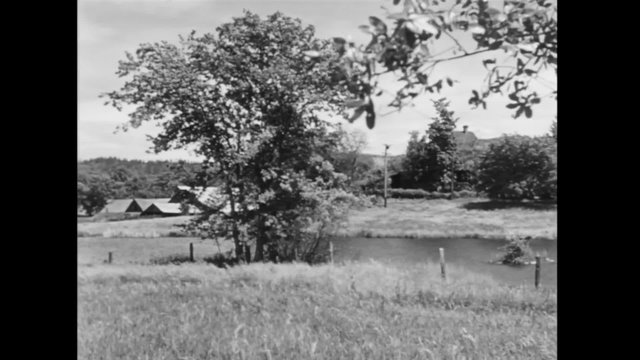 Panning shot of tranquil scene of river and farm, 1940s