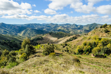 Fototapeta na wymiar Rural landscape in the Priorat, Spain