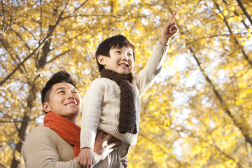 Father lifting son pointing to Autumn trees