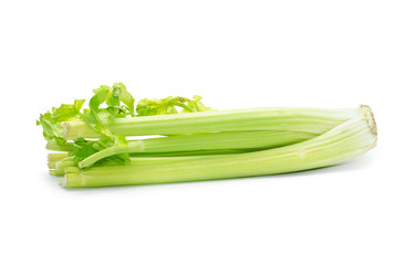 celery on a white background