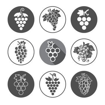 Grapes Icons and Logo Set.
