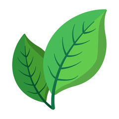 Two green leaves cartoon icon