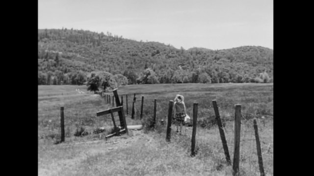 Rear view of young woman walking by fence through a field, 1940s