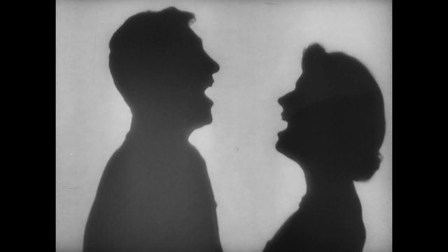 Silhouette of couple singing and kissing behind shade