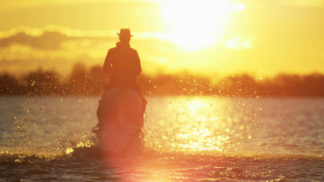 Cowboy Camargue rider animal horse sunrise running water 