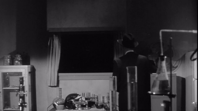 Man finds fake bat in laboratory, 1950s