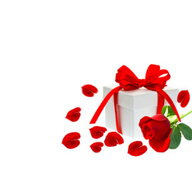Gift box with ribbon bow. Red rose flower with petals