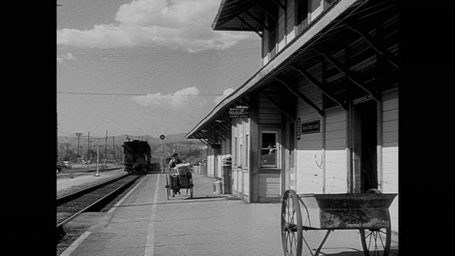 Porter pushing luggage cart through train station