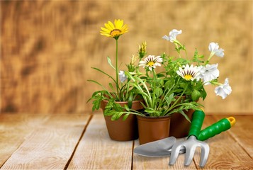 Gardening Equipment.