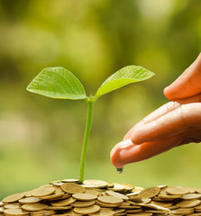 Business with csr practice / Business with environmental concern