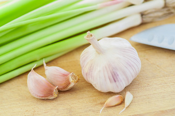 Green garlic sprouts and bulbs