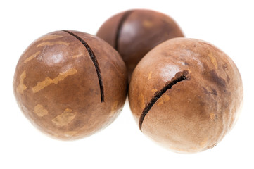 Macadamia nuts