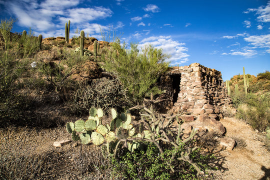 Catalina Mountain State Park near Tucson saguaro national park