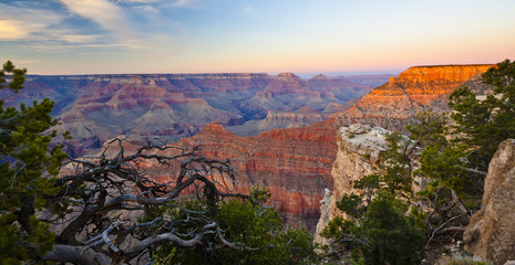 overlooking the grand canyon at sunset