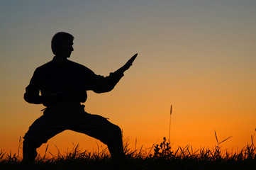 Obraz na płótnie Canvas Man practicing karate on the grassy horizon after sunset. Art of self-defense. Silhouette against a bright orange sky.