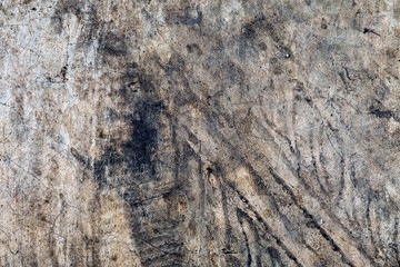 Fototapeta premium The concrete surface