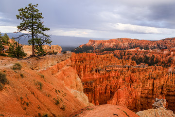 Bryce Canyon National Park USA South West