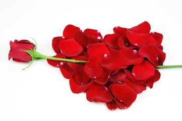 rose petals red heart with single rose as arrow
