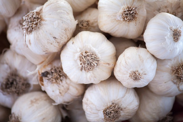 Fresh garlic