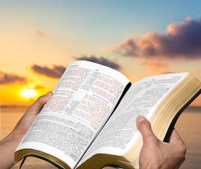 Bible.