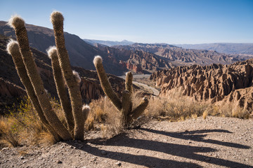 Altiplano, Bolivia