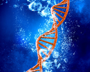 DNA molecule in water