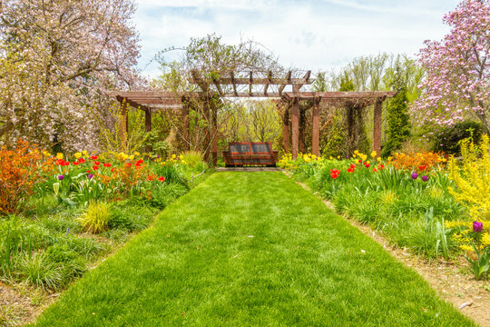 Grass walkway among the flowers