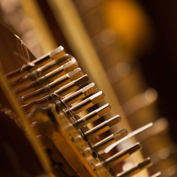 Detail of harp closeup