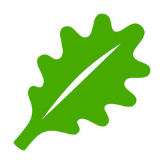 Vegetarian / vegan lettuce vegetable flat icon for apps and websites