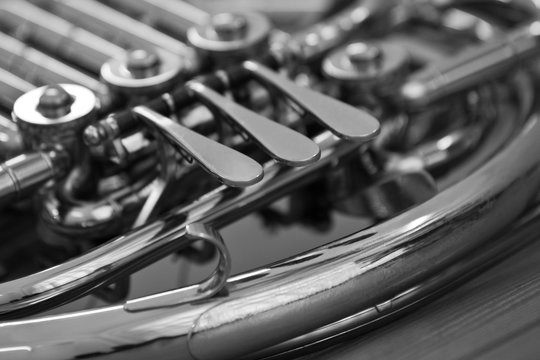 French Horn fragment in black and white