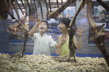 Obraz premium Children in museum of natural history