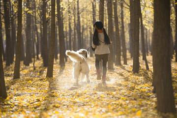 Fototapeta premium Little girl running with dog in autumn woods