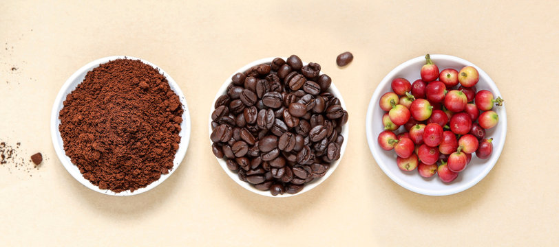 Red coffee beans berries, roasted coffee and coffee powder on beige paper background.