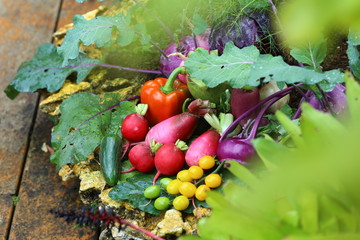 Vegetables, fruits