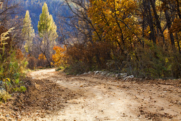 Obraz premium Country dirt road,China