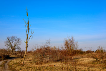 Renaturierungsgebiet Biesenhorster Sand