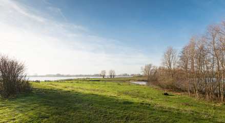 Floodplain of a wide river in the low morning sun