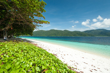 Beautiful Island and turquoise color sea,Adang-Rawee Island ,Tha