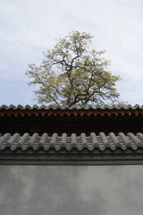 Detail Of The Roof Edge Of A Chinese Pagoda